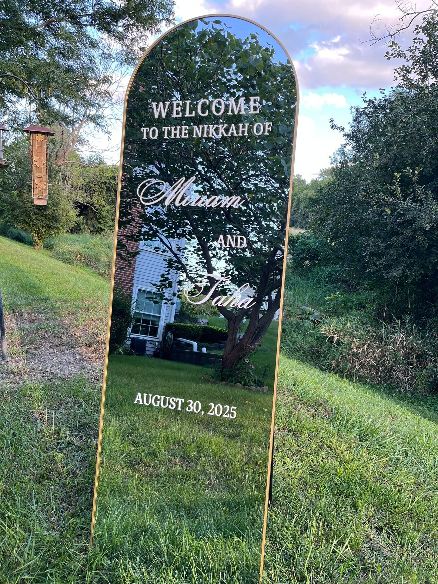 Mirror Viynl
