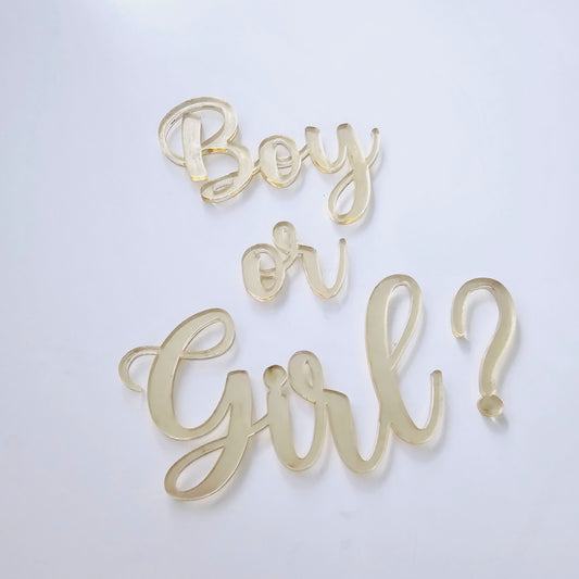 Boy or Girl Cake Charm